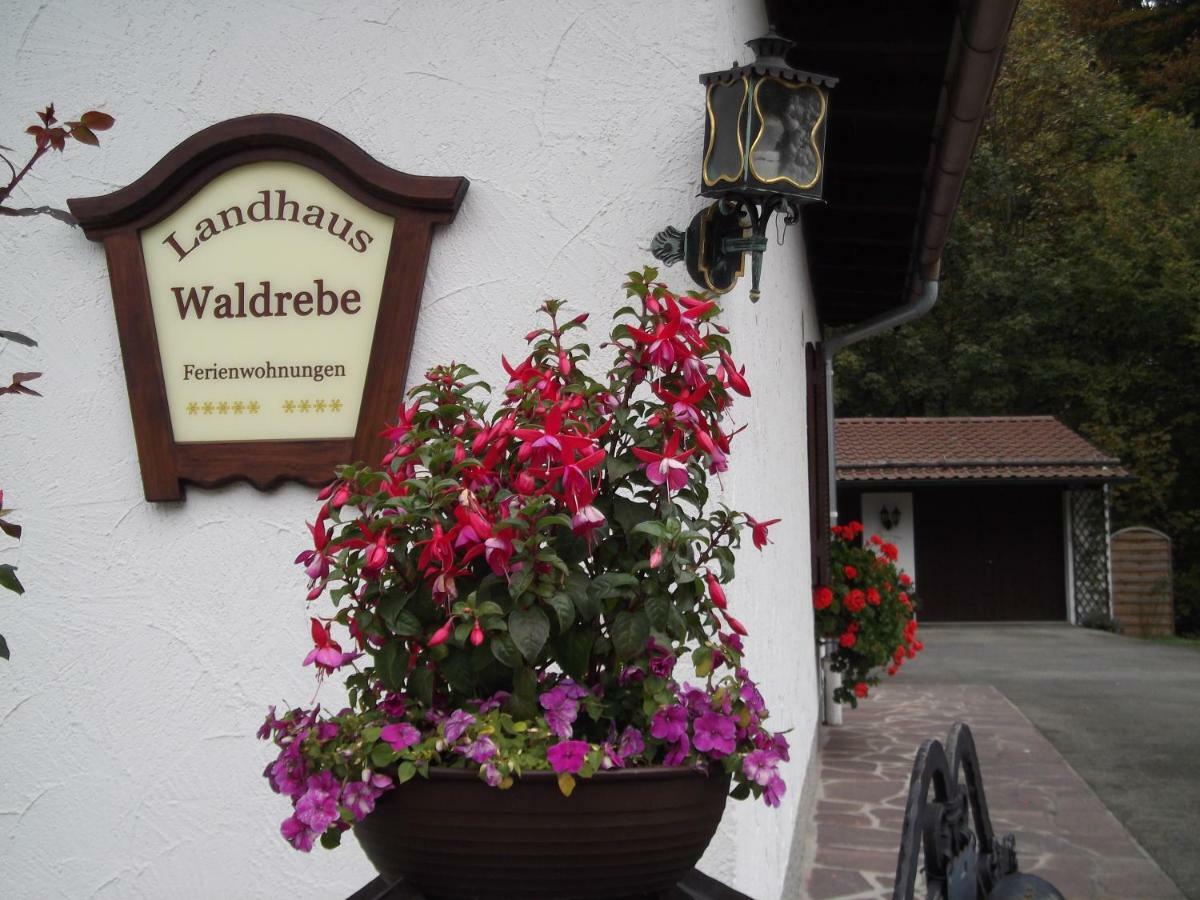 Landhaus Waldrebe 그라이나우 외부 사진